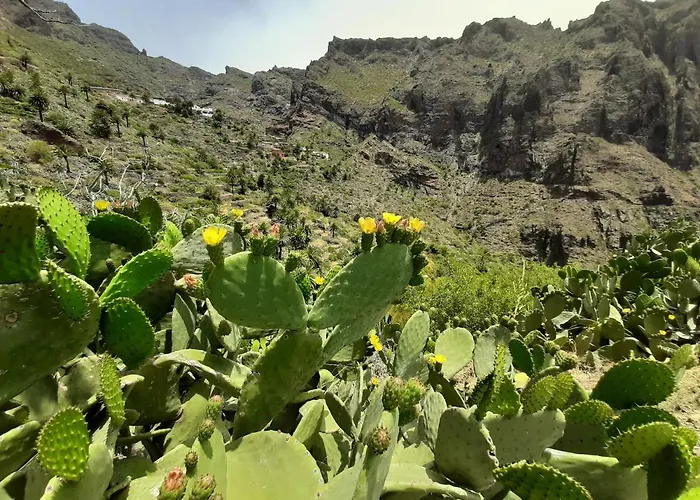 Casa Berna 마스카