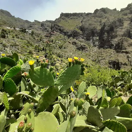 Casa Berna マスカ